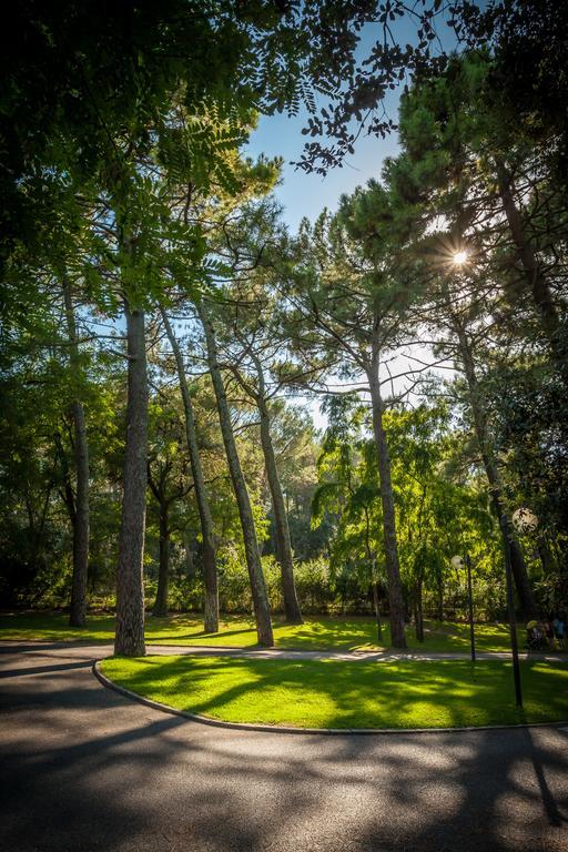 Camping La Sousta**** Remoulins Ngoại thất bức ảnh