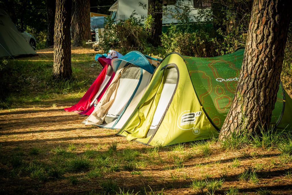 Camping La Sousta**** Remoulins Ngoại thất bức ảnh