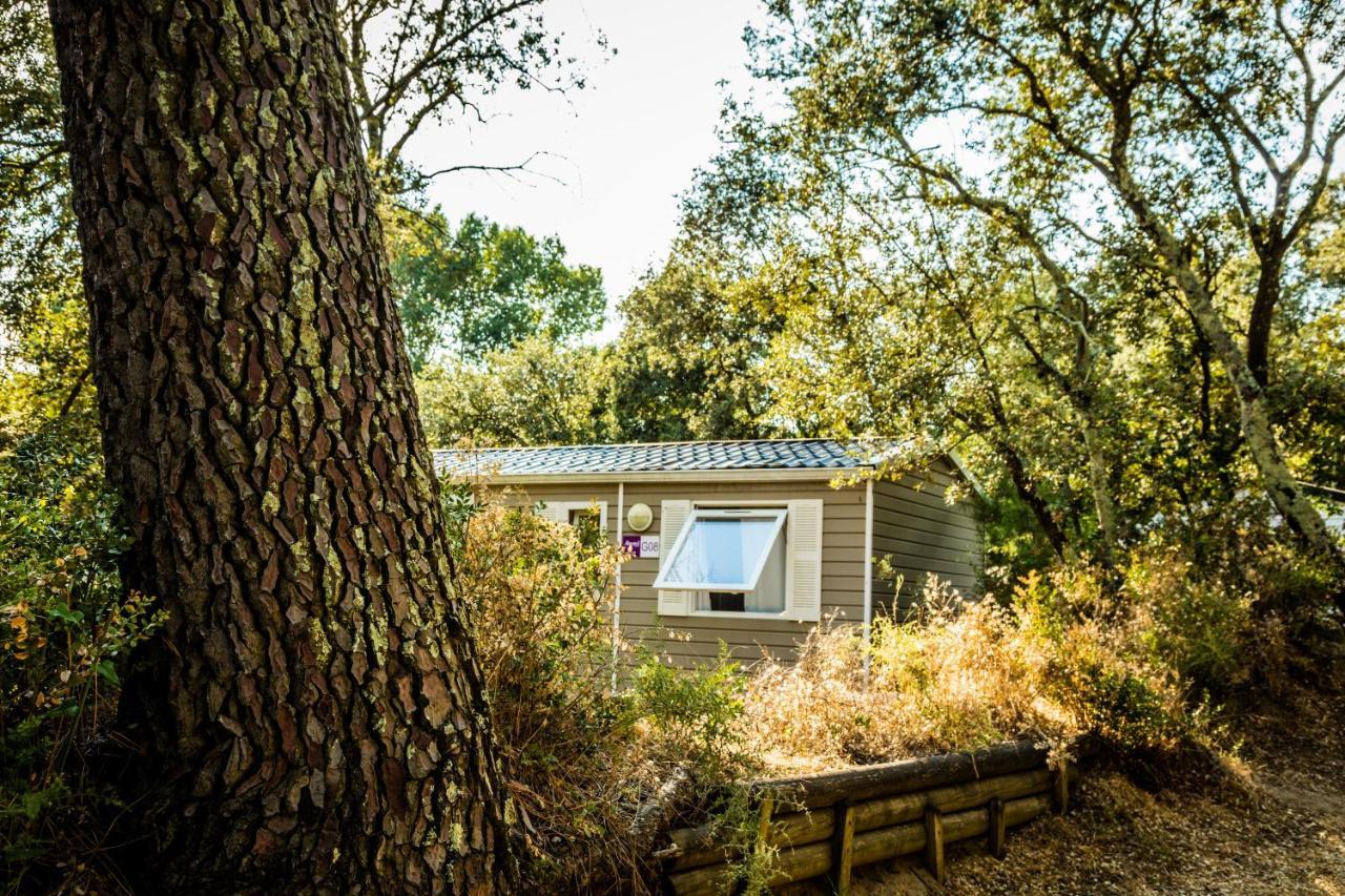 Camping La Sousta**** Remoulins Ngoại thất bức ảnh
