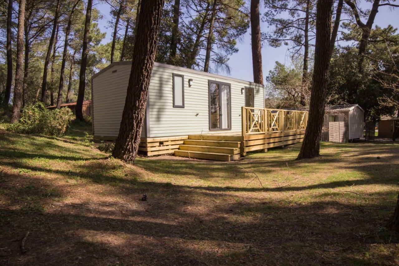 Camping La Sousta**** Remoulins Ngoại thất bức ảnh